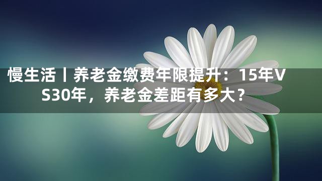 慢生活丨养老金缴费年限提升：15年VS30年，养老金差距有多大？