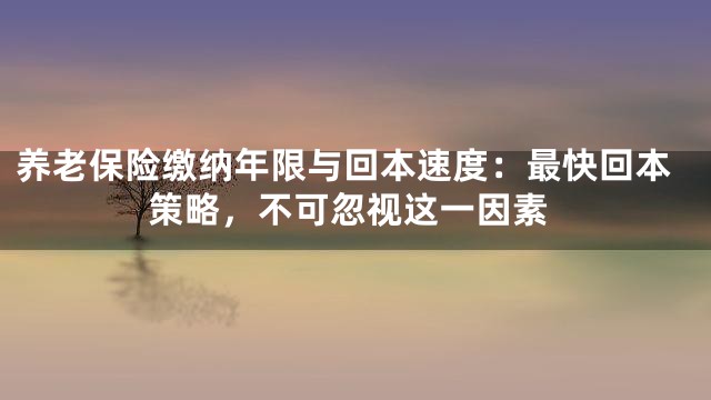 养老保险缴纳年限与回本速度：最快回本策略，不可忽视这一因素