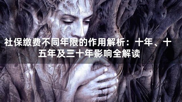 社保缴费不同年限的作用解析：十年、十五年及三十年影响全解读