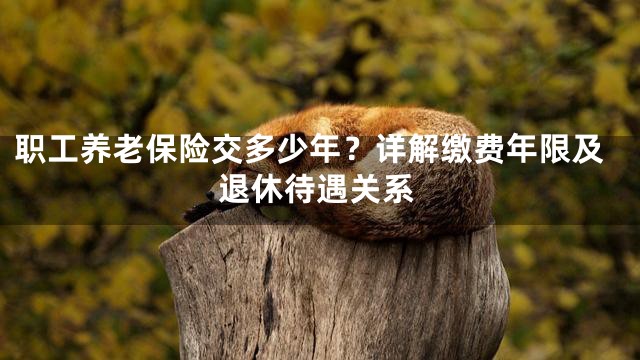 职工养老保险交多少年？详解缴费年限及退休待遇关系