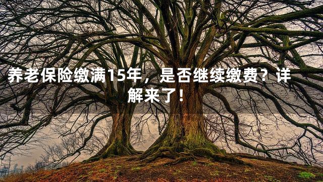 养老保险缴满15年，是否继续缴费？详解来了！