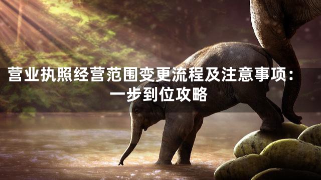 营业执照经营范围变更流程及注意事项：一步到位攻略