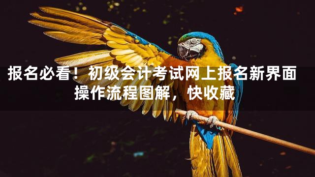 报名必看！初级会计考试网上报名新界面操作流程图解，快收藏
