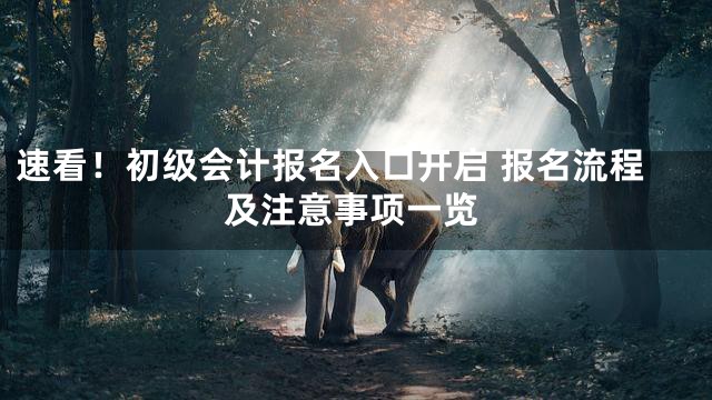 速看！初级会计报名入口开启 报名流程及注意事项一览