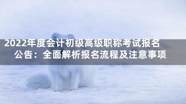 2022年度会计初级高级职称考试报名公告：全面解析报名流程及注意事项
