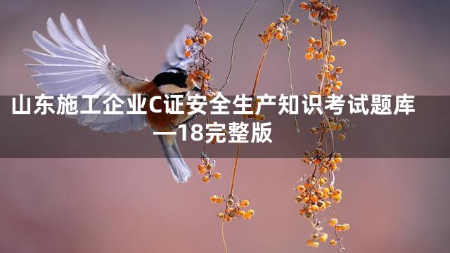 山东施工企业C证安全生产知识考试题库—18完整版
