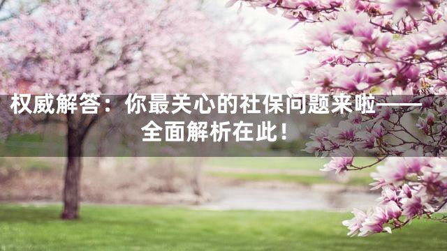 权威解答：你最关心的社保问题来啦——全面解析在此！