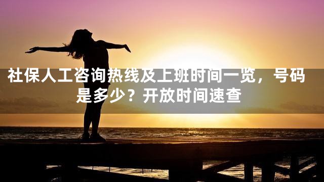 社保人工咨询热线及上班时间一览，号码是多少？开放时间速查