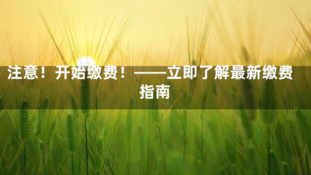 注意！开始缴费！——立即了解最新缴费指南