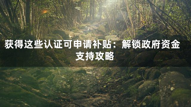 获得这些认证可申请补贴：解锁政府资金支持攻略