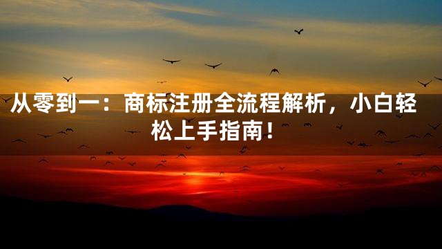 从零到一：商标注册全流程解析，小白轻松上手指南！