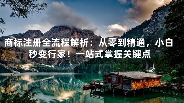 商标注册全流程解析：从零到精通，小白秒变行家！一站式掌握关键点