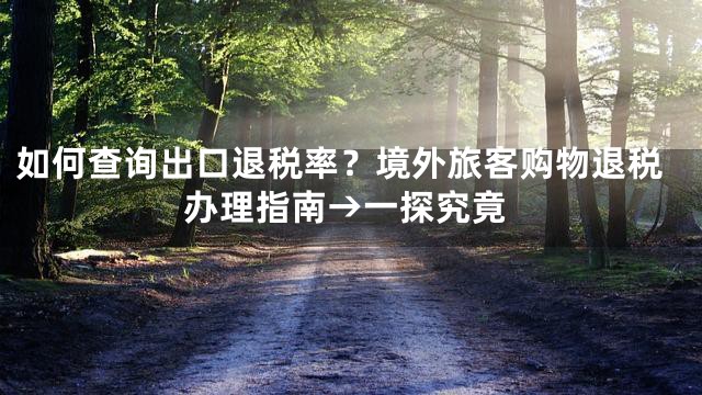 如何查询出口退税率？境外旅客购物退税办理指南→一探究竟