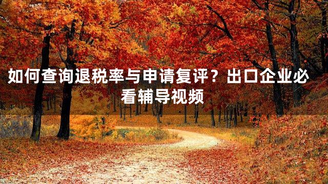 如何查询退税率与申请复评？出口企业必看辅导视频