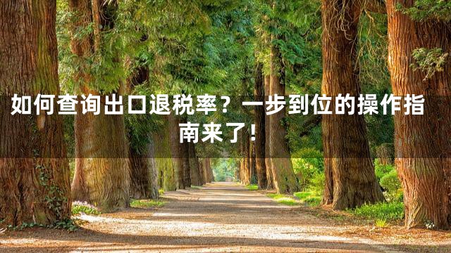 如何查询出口退税率？一步到位的操作指南来了！