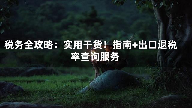 税务全攻略：实用干货！指南+出口退税率查询服务