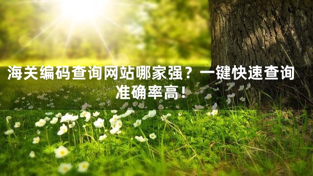 海关编码查询网站哪家强？一键快速查询准确率高！