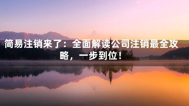 简易注销来了：全面解读公司注销最全攻略，一步到位！