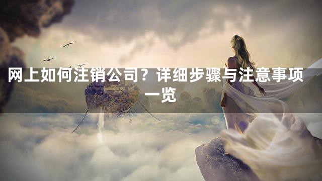 网上如何注销公司？详细步骤与注意事项一览