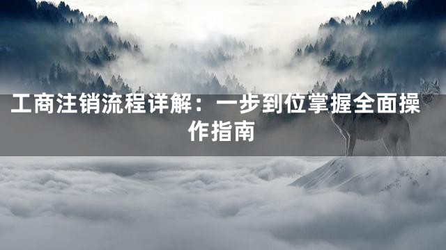 工商注销流程详解：一步到位掌握全面操作指南