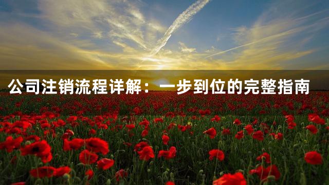 公司注销流程详解：一步到位的完整指南