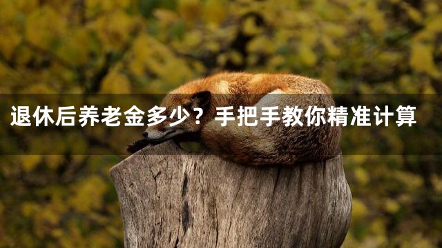 退休后养老金多少？手把手教你精准计算
