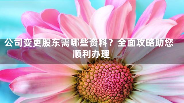 公司变更股东需哪些资料？全面攻略助您顺利办理