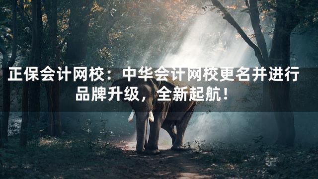 正保会计网校：中华会计网校更名并进行品牌升级，全新起航！