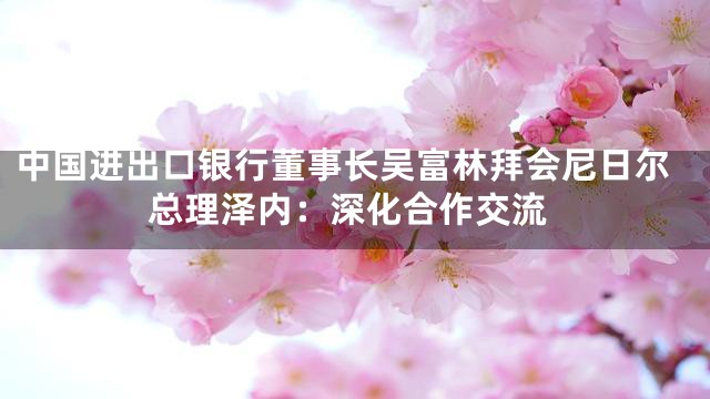 中国进出口银行董事长吴富林拜会尼日尔总理泽内：深化合作交流