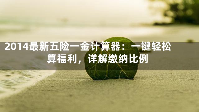 2014最新五险一金计算器：一键轻松算福利，详解缴纳比例