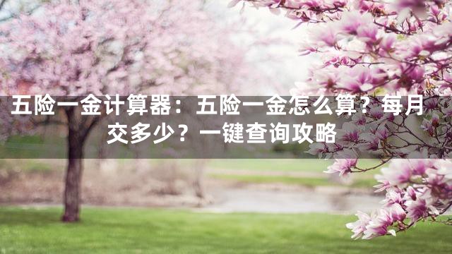 五险一金计算器：五险一金怎么算？每月交多少？一键查询攻略