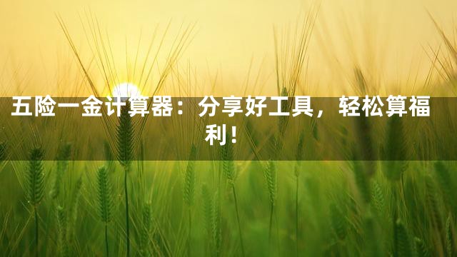 五险一金计算器：分享好工具，轻松算福利！