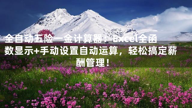 全自动五险一金计算器：Excel全函数显示+手动设置自动运算，轻松搞定薪酬管理！