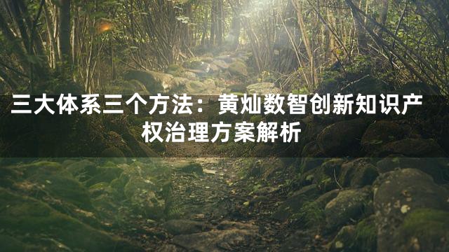 三大体系三个方法：黄灿数智创新知识产权治理方案解析