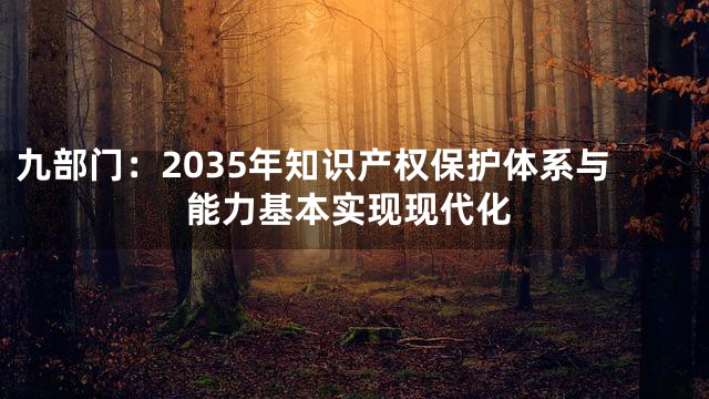 九部门：2035年知识产权保护体系与能力基本实现现代化