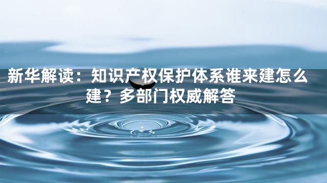新华解读：知识产权保护体系谁来建怎么建？多部门权威解答