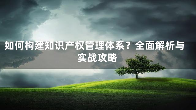 如何构建知识产权管理体系？全面解析与实战攻略