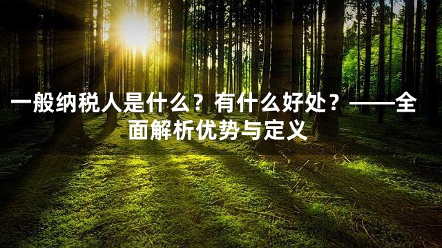 一般纳税人是什么？有什么好处？——全面解析优势与定义