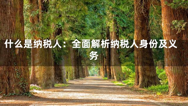 什么是纳税人：全面解析纳税人身份及义务