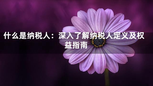 什么是纳税人：深入了解纳税人定义及权益指南