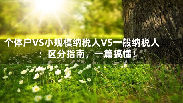 个体户VS小规模纳税人VS一般纳税人：区分指南，一篇搞懂！