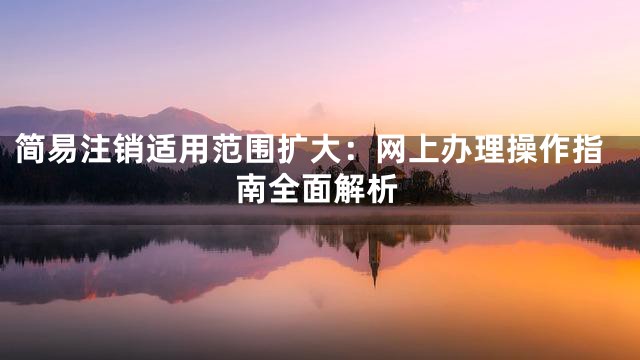 简易注销适用范围扩大：网上办理操作指南全面解析