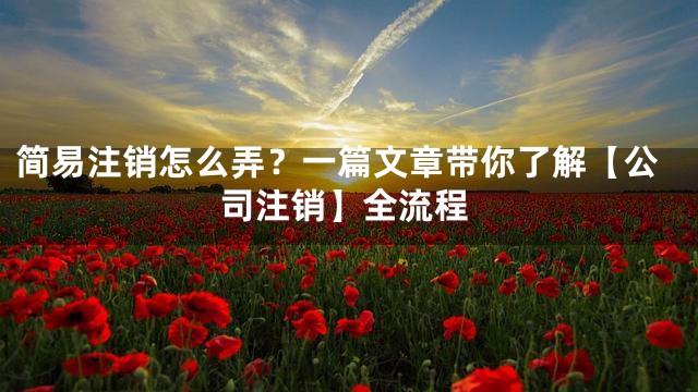 简易注销怎么弄？一篇文章带你了解【公司注销】全流程