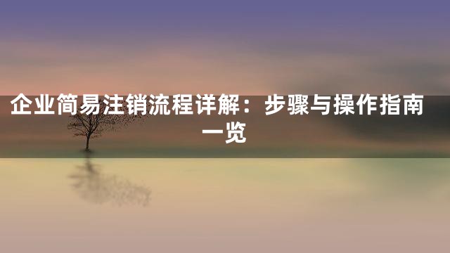 企业简易注销流程详解：步骤与操作指南一览