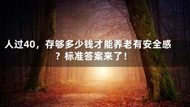 人过40，存够多少钱才能养老有安全感？标准答案来了！