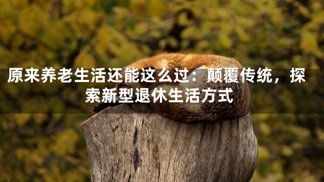 原来养老生活还能这么过：颠覆传统，探索新型退休生活方式