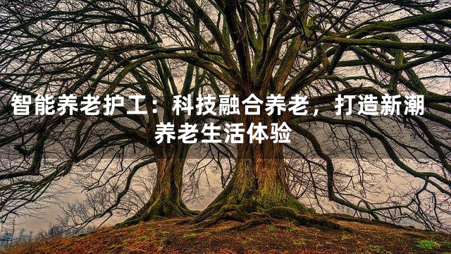 智能养老护工：科技融合养老，打造新潮养老生活体验