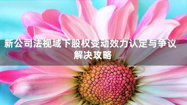 新公司法视域下股权变动效力认定与争议解决攻略