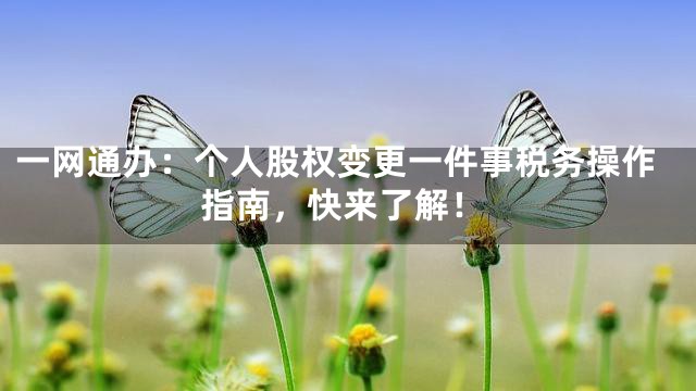 一网通办：个人股权变更一件事税务操作指南，快来了解！