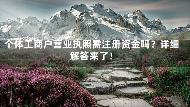 个体工商户营业执照需注册资金吗？详细解答来了！